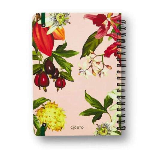 Caderno Colegial Cicero Frutos Cacau Pautado 17x24