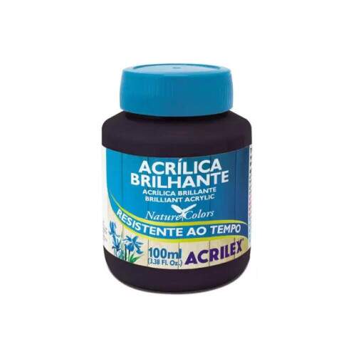 Tinta Acrilica Acrilex Brilhante 100 ml Preto