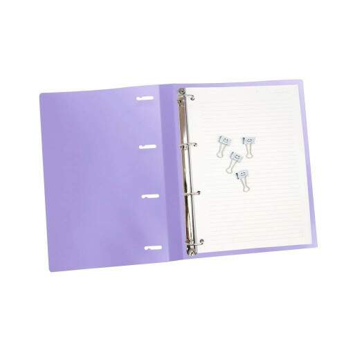 Fichrio Universitario Dello Full Color Roxo