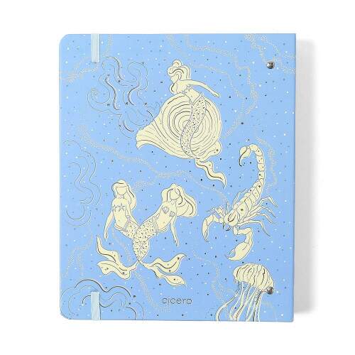 Caderno Argolado Ccero Origens Pautado 17x24 Aqua Azul