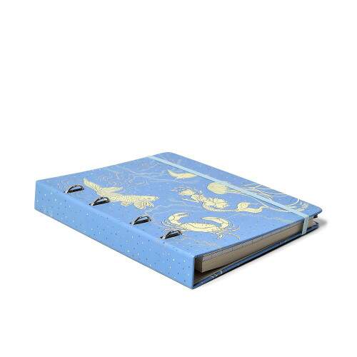 Caderno Argolado Ccero Origens Pautado 17x24 Aqua Azul