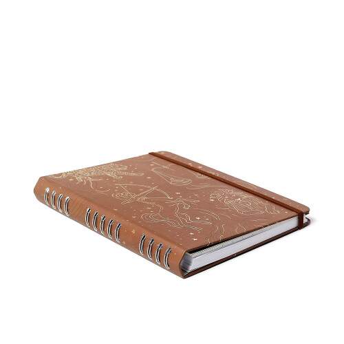 Caderno Ccero Organizador Origens Pautado & Pontado 17x24 Terra