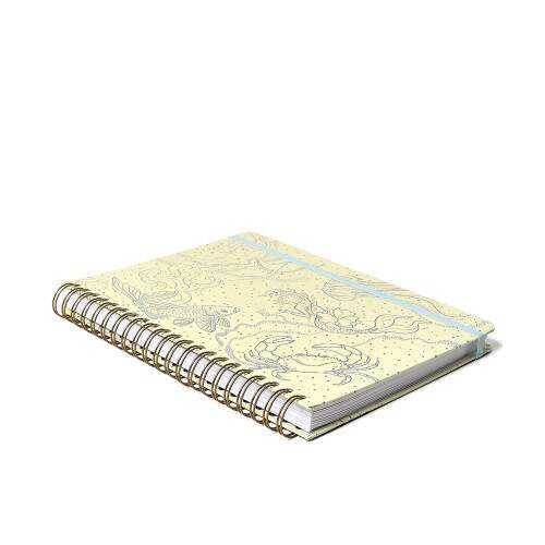 Caderno Ccero Espiral Origens Pautado 20x28 Aqua Traco 160 Fls