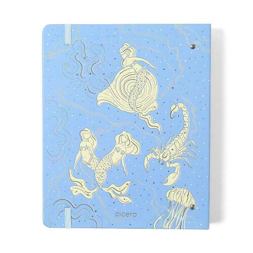 Caderno Argolado Ccero Origens Pautado 17x24 Aqua Azul