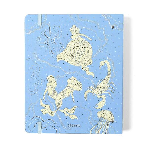 Caderno Argolado Ccero Origens Pautado 17x24 Aqua Azul