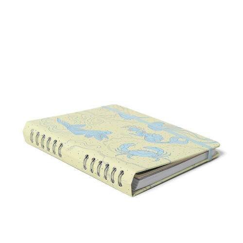 Caderno Ccero Organizador Origens Pautado & Pontado A5 Aqua Off White