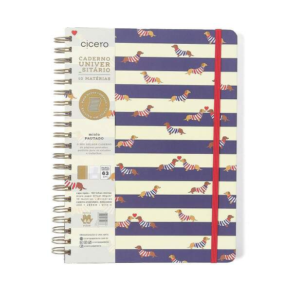 Caderno Ccero Espiral Praia Pautado 20x28 Cachorros 160 Fls