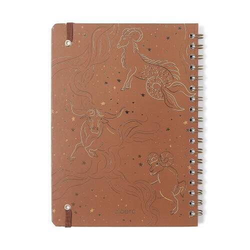 Caderno Ccero Espiral Origens Pautado 17x24 Terra 80 Fls