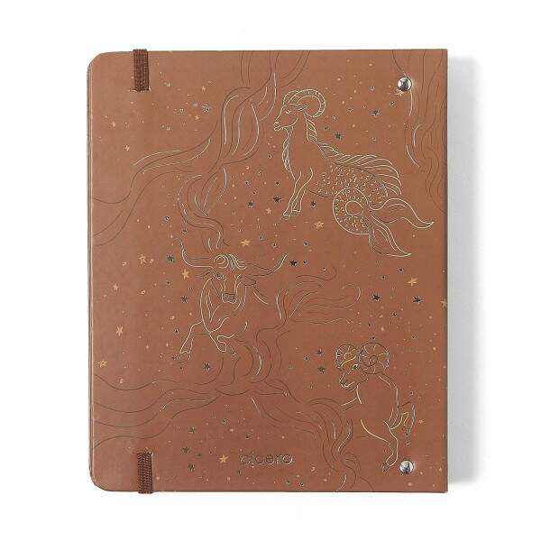 Caderno Argolado Ccero Office Duo Origens Pautado & Pontado A5 Terra