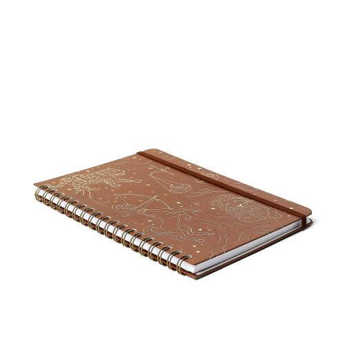 Caderno Ccero Espiral Origens Pautado 17x24 Terra 80 Fls