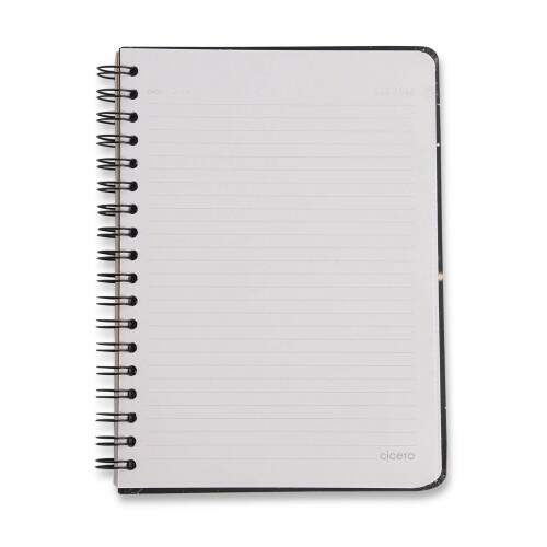 Caderno Ccero Espiral Libelulas Pautado 17x24 Off White 80 Fls