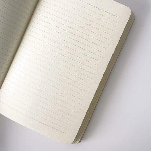 Caderno Schizzibooks Flexivel Pine 15 x 22,5cm Pautado