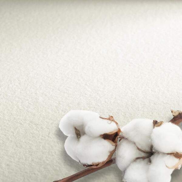 Bloco Hahnemuhle The Collection Watercolour 300 g/m Tf 10 Fls 8 x 10,5 cm