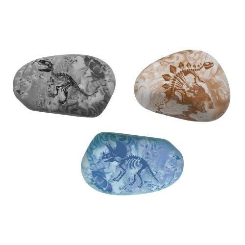 Borracha Tris Fossil