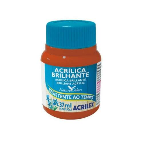 Tinta Acrilica Acrilex Brilhante 37 ml Ceramica 03340-506