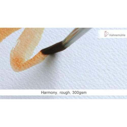 Bloco Hahnemuhle Harmony 300 g/m� TR A4 12 Fls