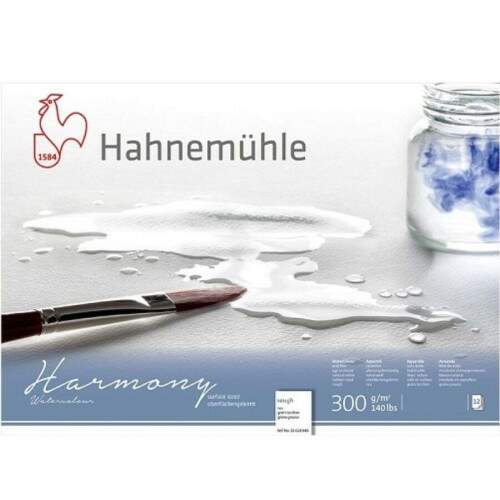 Bloco Hahnemuhle Harmony 300 g/m� TR A4 12 Fls