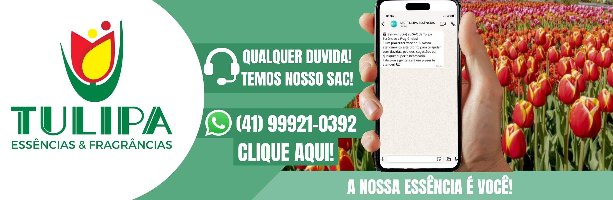 MATA INSETO E PRODUTOS AUTOMOTIVOS