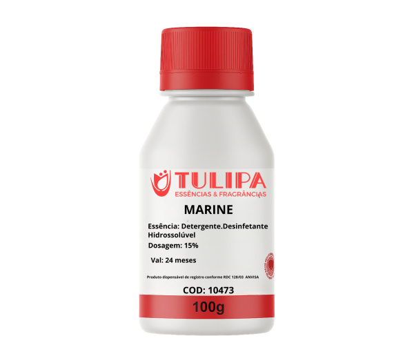 ESS�NCIA MARINE ECONOMICO P/ DESINFETANTE 250458 LSS 100ML