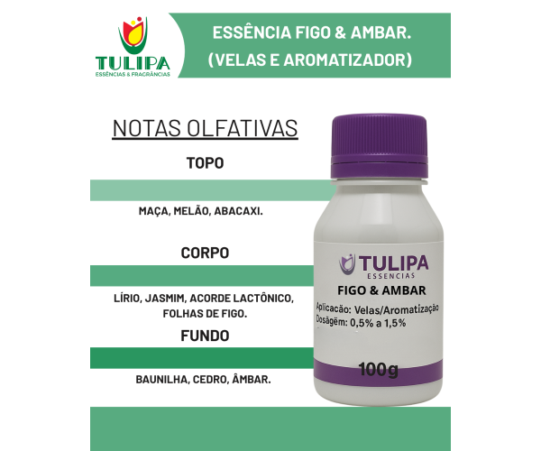 ESSENCIA VELA FIGO E AMBAR 100g (G.G)