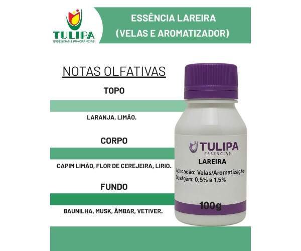 ESSENCIA VELA LAREIRA 100g (G.G)