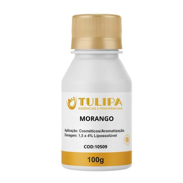 ESSNCIA MORANGO 100G 10509