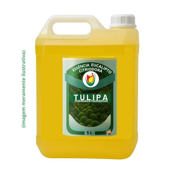 ESSNCIA DE EUCALIPTO CITRIODORA 5 L (USO GERAL: LIMPEZA, ODORIZANTE, SAUNA, ETC...)